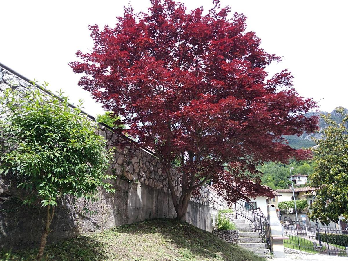 B&B L'Acero Casto Exterior foto